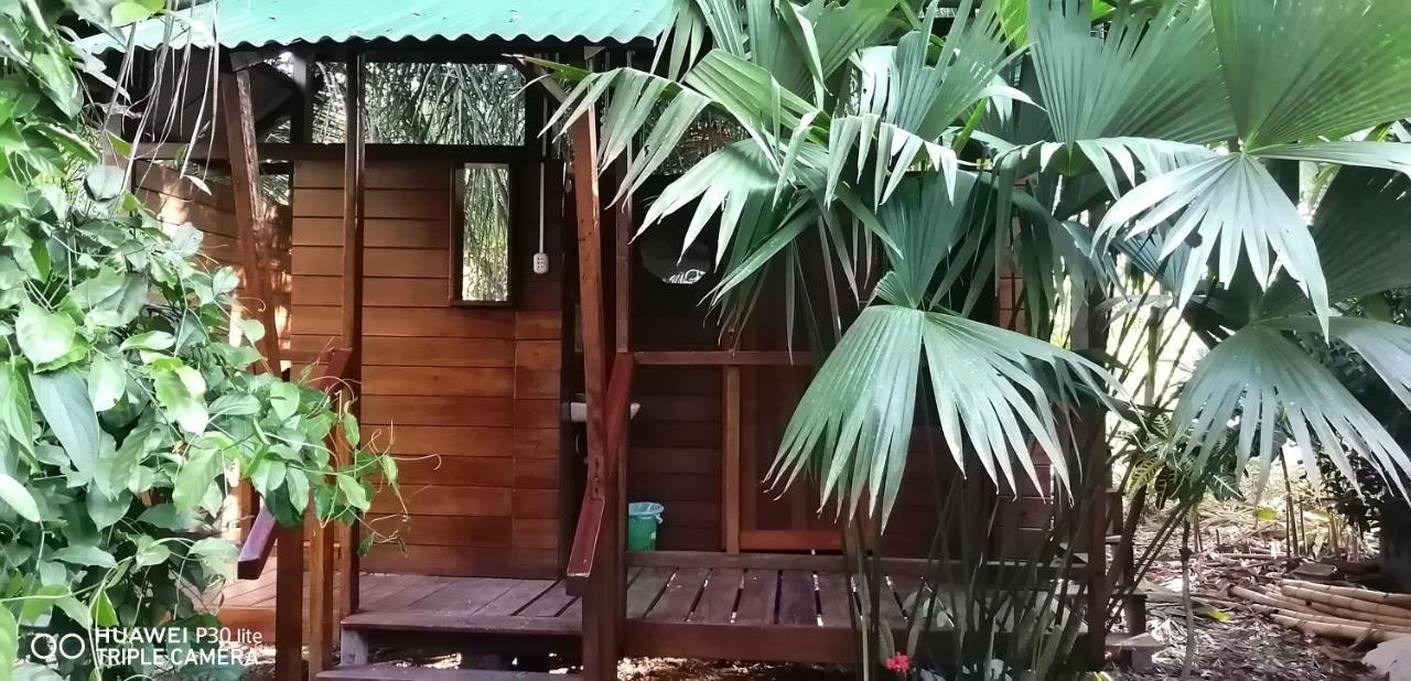 Passiflora Lodge Tambopata Puerto Maldonado Ngoại thất bức ảnh