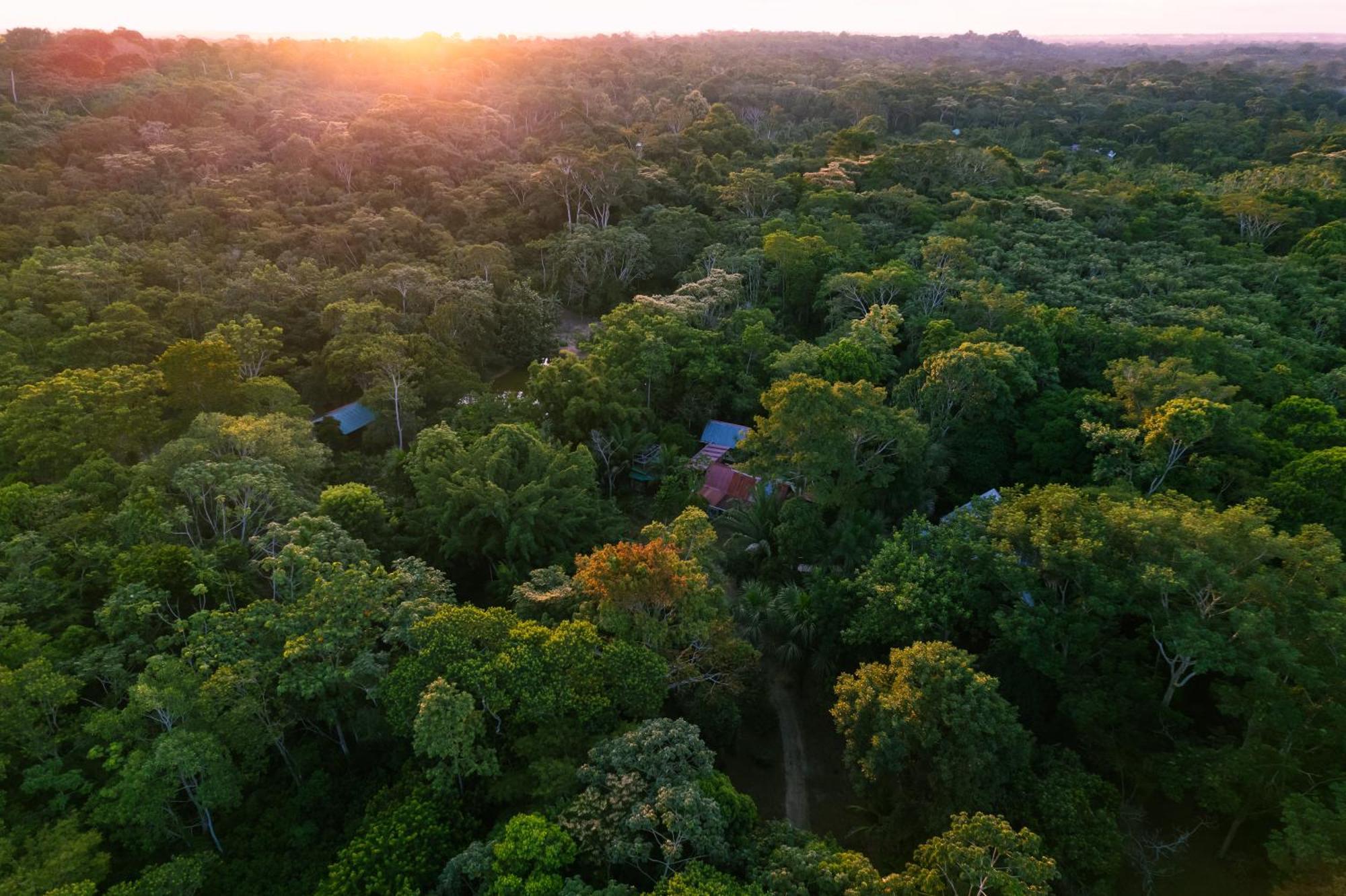 Passiflora Lodge Tambopata Puerto Maldonado Ngoại thất bức ảnh