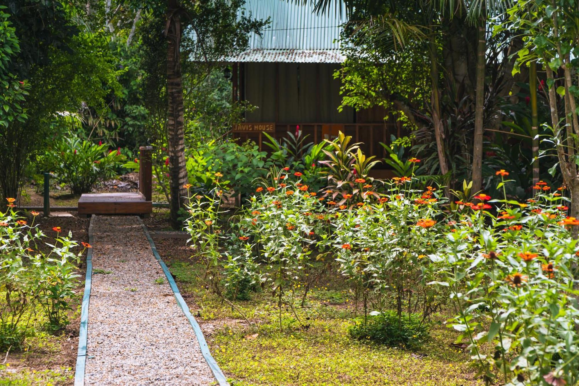 Passiflora Lodge Tambopata Puerto Maldonado Ngoại thất bức ảnh