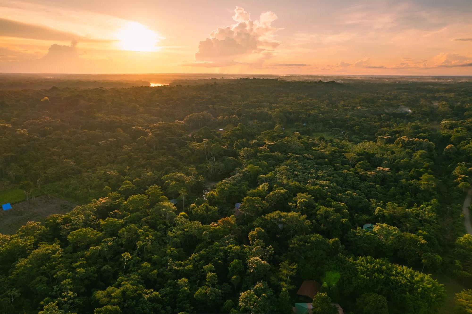 Passiflora Lodge Tambopata Puerto Maldonado Ngoại thất bức ảnh