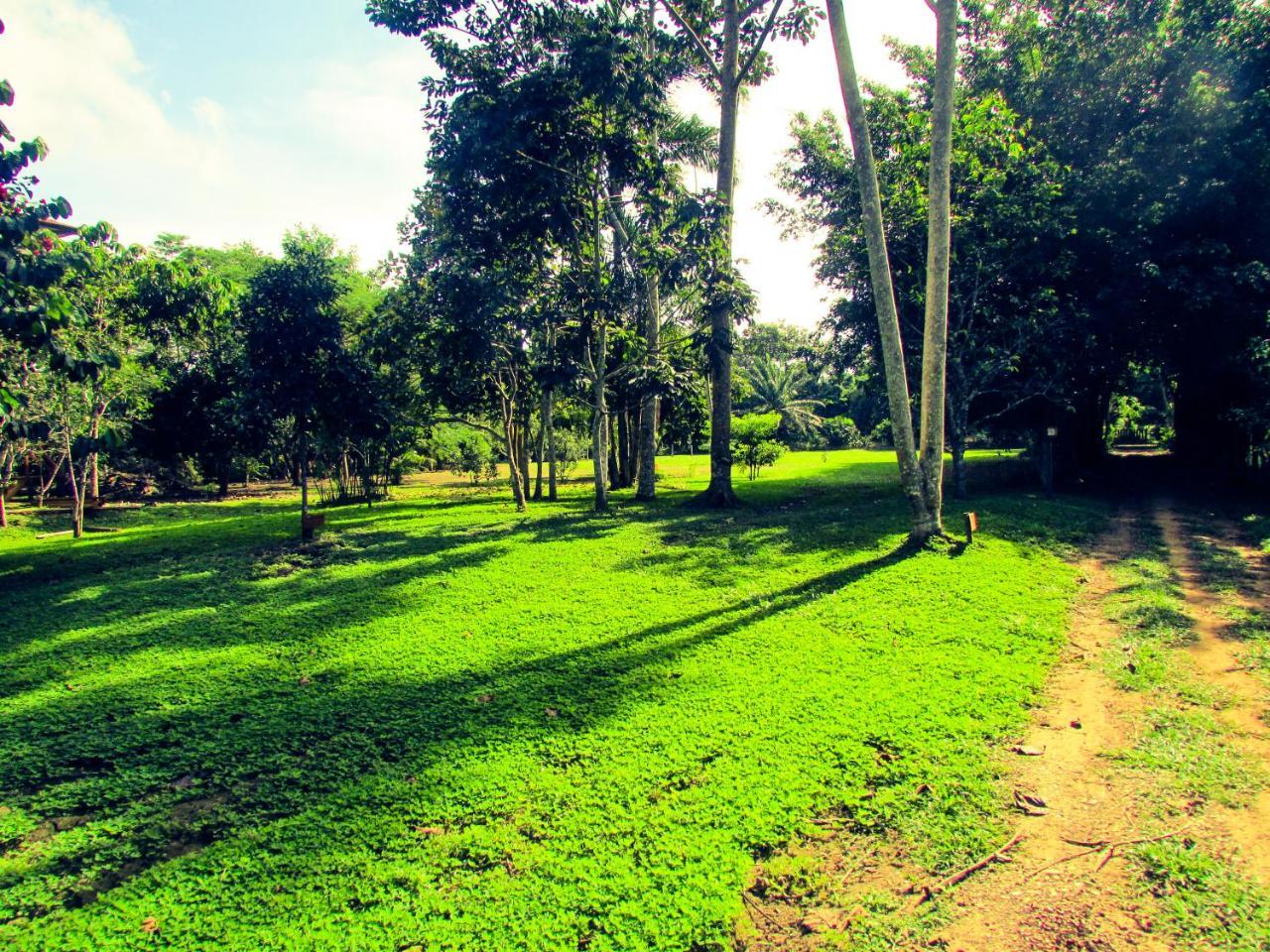 Passiflora Lodge Tambopata Puerto Maldonado Ngoại thất bức ảnh